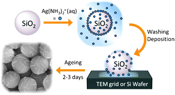 Graphical abstract: Synthesis of silver nanoparticle necklaces without explicit addition of reducing or templating agents