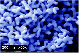 Graphical abstract: Synthesis of monolithic meso–macroporous silica and carbon with tunable pore size