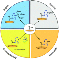 Graphical abstract: Oxo-ester mediated native chemical ligation on microarrays: an efficient and chemoselective coupling methodology