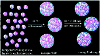 Graphical abstract: Bioreducible nanogels/microgels easily prepared via temperature induced self-assembly and self-crosslinking