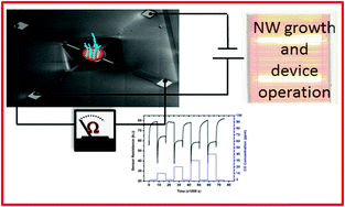 Graphical abstract: Localized growth and in situ integration of nanowires for device applications