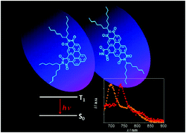 Graphical abstract: Phosphorescent perylene imides