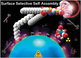 Graphical abstract: Iron oxide-filled micelles as ligands for fac-[M(CO)3]+ (M = 99mTc, Re)