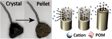 Graphical abstract: Morphogenesis of polyoxometalate cluster-based materials to microtubular network architectures
