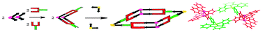 Graphical abstract: Programmable self-assembly of homo- or hetero-metallomacrocycles using 4-(1H-pyrazolyl-4-yl)pyridine