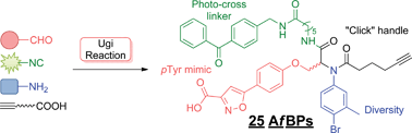 Graphical abstract: Ugi reaction-assisted rapid assembly of affinity-based probes against potential protein tyrosine phosphatases