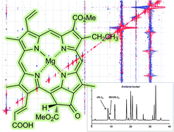 Graphical abstract: Characterization of [8-ethyl]-chlorophyll c3 from Emiliania huxleyi