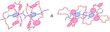 Graphical abstract: Pseudorotaxanes from self-assembly of two crown ether-based cryptands and a 1,2-bis(pyridinium) ethane derivative