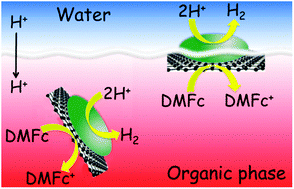 Graphical abstract: Hydrogen evolution across nano-Schottky junctions at carbon supported MoS2 catalysts in biphasic liquid systems