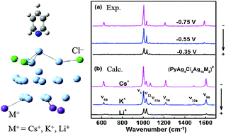Graphical abstract: Cations-modified cluster model for density-functional theory simulation of potential dependent Raman scattering from surface complex/electrode systems