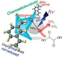 Graphical abstract: Chemoselective reduction of nitrobenzenes to aminobenzenes having reducible groups by a titanium(iv) oxide photocatalyst under gas- and metal-free conditions