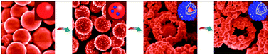 Graphical abstract: Inside-out core–shell architecture: controllable fabrication of Cu2O@Cu with high activity for the Sonogashira coupling reaction