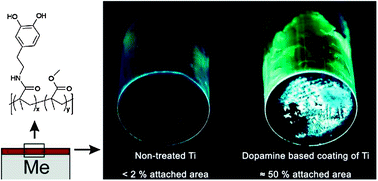 Graphical abstract: Mussel-inspired load bearing metal–polymer glues