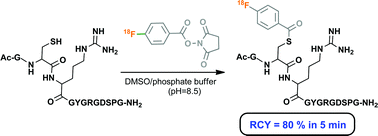 Graphical abstract: Rapid and high-yielding cysteine labelling of peptides with N-succinimidyl 4-[18F]fluorobenzoate