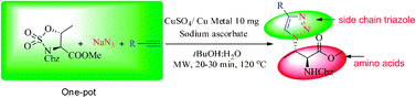 Graphical abstract: Stereo- and regio-selective one-pot synthesis of triazole-based unnatural amino acids and β-amino triazoles