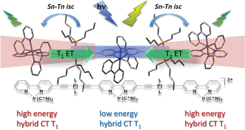 Graphical abstract: Unexpected evolution of optical properties in Ir–Pt complexes upon repeat unit increase: towards an understanding of the photophysical behaviour of organometallic polymers