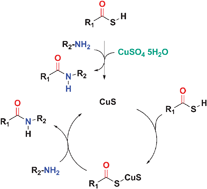Graphical abstract: Copper(ii) mediated facile and ultra fast peptide synthesis in methanol