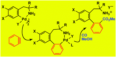 Graphical abstract: Insertion of benzyne into the Pd–C bond. Synthesis of unnatural amino acid derivatives by sequential insertion of benzyne and CO: 2,2′-functionalized biaryls containing alkylamino and carboxymethyl substituents. Isolation of stable carbopalladated-benzyne intermediates