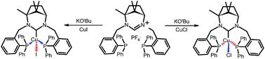 Graphical abstract: Monovalent chiral-at-copper complexes: halide-controlled diastereoselectivity