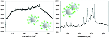 Graphical abstract: Bottom-up optimization of SERS hot-spots
