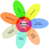 Graphical abstract: Mass spectrometry-based proteomics: existing capabilities and future directions