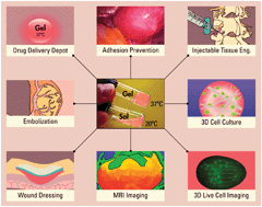 Graphical abstract: Temperature-responsive compounds as in situ gelling biomedical materials