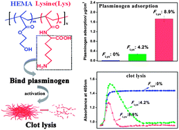 Graphical abstract: Vinyl-monomer with lysine side chains for preparing copolymer surfaces with fibrinolytic activity