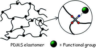 Graphical abstract: Novel cross-linkers for PDMS networks for controlled and well distributed grafting of functionalities by click chemistry