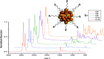 Graphical abstract: Ligand control in thiol stabilized Au38 clusters