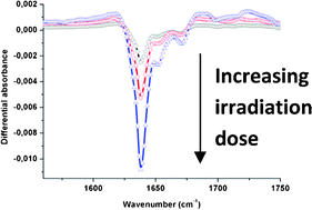 Graphical abstract: Experimental and theoretical study of the degradation of malonamide extractant molecules under ionizing radiation