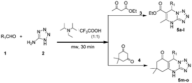 Graphical abstract: Antimicrobial and antioxidant activity evaluation of tetrazolo[1,5-a]pyrimidines: A simple diisopropylammonium trifluoroacetate mediated synthesis