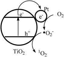 Graphical abstract: Singlet oxygen photogeneration and 2,4,6-TCP photodegradation at Pt/TiO2 under visible light illumination