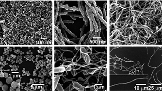 Graphical abstract: Oxide formation on biological nanostructures via a structure-directing agent: towards an understanding of precise structural transcription