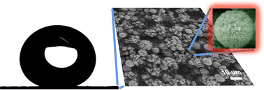 Graphical abstract: Microstructured objects produced by the supramolecular hierarchical assembly of an organic free radical gathering hydrophobic-amphiphilic characteristics