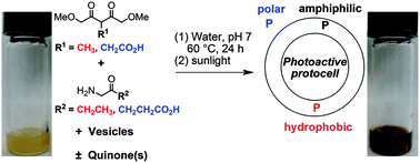 Graphical abstract: Self-organization of tetrapyrrole constituents to give a photoactive protocell