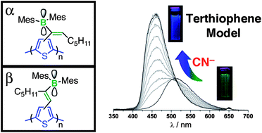Graphical abstract: 3-Vinylborane-functionalized oligothiophenes: isomer-dependent electronic structure and fluorescence enhancement upon anion binding