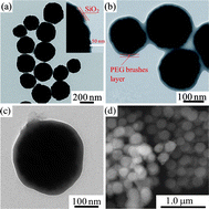 Graphical abstract: A poly(ethylene glycol)-brush decorated magnetic polymer for highly specific enrichment of phosphopeptides