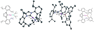 Graphical abstract: Preparation and reactivity of terminal gold(i) amides and phosphides