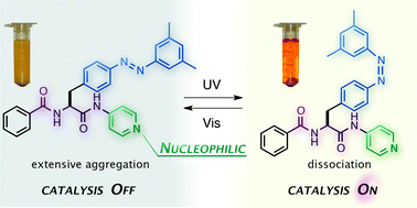 Graphical abstract: In situ manipulation of catalyst performance via the photocontrolled aggregation/dissociation state of the catalyst