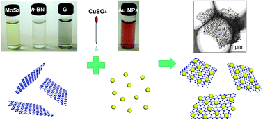 Graphical abstract: A universal strategy for the hierarchical assembly of functional 0/2D nanohybrids
