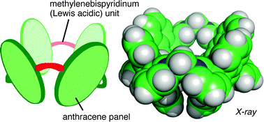 Graphical abstract: A bowl-shaped organic host using bispyridine ligands: selective encapsulation of carbonyl guests in water