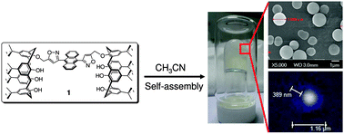 Graphical abstract: Evolution of nano- to microsized spherical assemblies of fluorogenic biscalix[4]arenes into supramolecular organogels