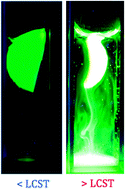 Graphical abstract: Temperature and pH triggered release characteristics of water/fluorescein from 1-ethyl-3-methylimidazolium ethylsulfate based ionogels