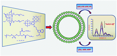 Graphical abstract: Tb(iii) functionalized vesicles for phosphate sensing: membrane fluidity controls the sensitivity