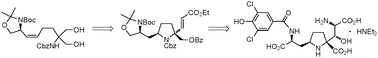 Graphical abstract: Total synthesis of (−)-kaitocephalin