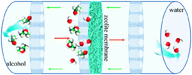 Graphical abstract: Eco-friendly fabrication of hydrophilic ZSM-5 membranes for alcohol upgrading