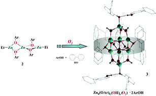 Graphical abstract: Probing secondary coordination sphere influence on the oxygenation of zinc alkyls: formation of a unique zinc peroxide species