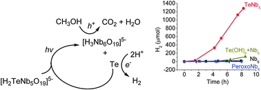Graphical abstract: A tellurium-substituted Lindqvist-type polyoxoniobate showing high H2 evolution catalyzed by tellurium nanowires via photodecomposition