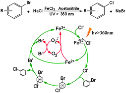 Graphical abstract: Iron(iii)-mediated photocatalytic selective substitution of aryl bromine by chlorine with high chloride utilization efficiency