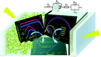 Graphical abstract: Consistent static and small-signal physics-based modeling of dye-sensitized solar cells under different illumination conditions